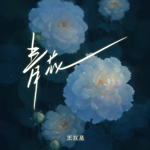 性教育片《真人示范》
